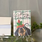 Merry Christmas Dachshund Greeting Card Set Of 15 With Envelopes Blank Inside