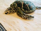 Melissa   Doug Large 28  Sea Turtle Plush Stuffed Sea Ocean Life Pillow