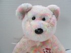 Ty Beanie Baby Buddy 14    Celebrate 15 Years Bear 2001 Glitter Rainbow No Tag