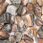 Botswana Agate Tumbling Rough For Rock Tumbling 5lbs