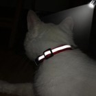 Personalized Breakaway Pet Cat Collar With Bell Reflective Kitten Puppy Id Tag