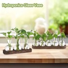 Modern Desktop Glass Vase Wooden Stand Hydroponics Plant Propagation Station