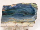 Larsonite gary Green  Freedom  Jasper Slab  Lot 576