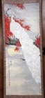 Vintage Chinese Scroll White Peacock 78 X 23   autumn Thoughts 