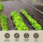 Dewitt P6 Pro 5 5oz 6  X 250  Commercial Landscape Weed Barrier Ground Fabric