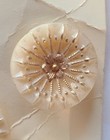 Vintage Ivory Glass Shank Buttons By Schwanda Original Card Gold Floral Design