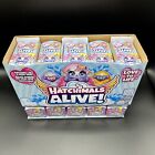 Lot Of 20 Hatchimals Alive Blind Box Sets Brand New Factory Sealed Full Display