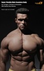 Tbleague Phicen M34 1 6 Male Seamless Muscular Body Steel Skeleton Figure