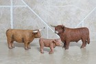 Schleich Scottish Highland Cow Bull Calf Cattle Family 13919 13660 13659 Toy Lot