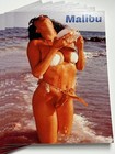 Malibu Ca  4x6 Postcard Lot Of 9 Pinup Risqu   Bikini Babe Sexy Beach Girl Cc110