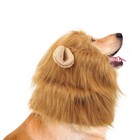 Cute Lion Mane Dog Wig Hat Funny Pets Clothes Cap Fancy Costume Puppy Headgear