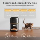 Automatic Cat Feeder - 2l Cat Food Dispenser Timed Auto Pet Feeder With 180-d   