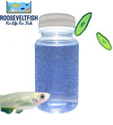 Paramecium Caudatum  Living Microorganism Starter Culture  Include Small Pipette