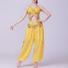 Belly Dance Costume Indian Dance Chiffon Sequins Beads Top Harem Pants 8 Colors