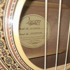 Lucero Lc-100ce n Acoustic-electric Classical Guitar  6-string  Free Shipping  