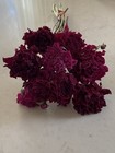 Peonies   Dried Flower Bunch Bouquet Bundle Usa Grown   Dark Burgundy Wine