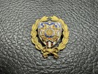 Elegant 10k Gold Vfw Auxiliary Enamel Badge   Pin -1 Inch  3 8 Grams