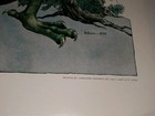 1974 George Barr Poster When Knighthood Was In Flower 17x22  Fantasy - Dragon 