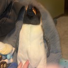 Ganz Webkinz Signature Penguin Plush Stuffed Animal 12  Realistic