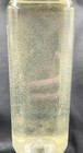 32oz Live Copepods   Tisbe  Apocyclops  tigriopus  Rotifers   Free Shipping