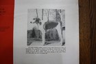 Rare  Vintage 1947 The Chase Magazine Fox Hunting Hound Hunters Dogs Advertising