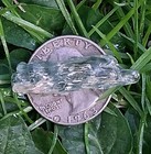 Incredible Rare Large North Carolina Hiddenite Crystal Gem Emerald Hollow Mine
