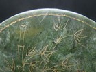 Chinese 19th Century Nice Carved Sponach-green Hetian Jade Circular Plaque U4967
