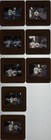46 Color Photo Slide Images Of Madonna Jogging W  Tony Ward - Nyc 1990
