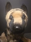 Hansa German Shepherd Puppy Dog 16  Plush Stuffed Animal