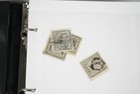 Us Canal Zone Collection Of 625  Stamps Mint   Used Stored In 2 Dealer Books