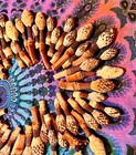 30 Small Organic Dried Magnolia Seed Pods Crafts Vivarium Terrarium Isopods   
