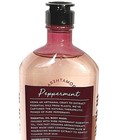 Bath   Body Works Aromatherapy Peppermint Essential Oil Body Wash Shower Gel