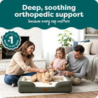 Furhaven Orthopedic Pet Bed Nest Top Sofa Medium 30x20 Green Dog Bed