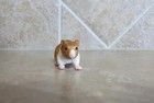 Retired Schleich Hamster 2  14412 Pet Rodent Retired 2005-2009 Toy Animal