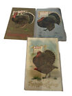 Embossed Thanksgiving Postcards  3 Variations Of Same Design Series 