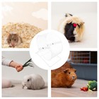 1    Pet Running Wheel Toys Silent Sports Small Animal Exercise Wheels