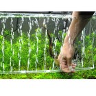 2 Sets Oxygen-filled Bars Air Bubble Aquarium Fish Tank Bubbler Decorations
