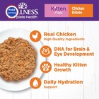 Kitten Wet Cat Food 24 Pack Wellness Complete Health Pate Natural Grain