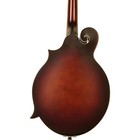 The Loar Lm-310f Hand-carved F-style Mandolin Vintage Brown
