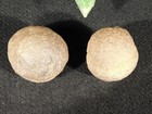 Moqui Marble Or Shaman Stone Pair 100  Natural Utah 76 1gr