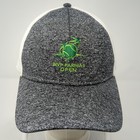 Bnp Paribas Open Baseball Cap Multicolor One Size Adjustable Embroidered Ouray