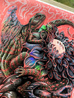 Authentic Widespread Panic Rainbow Foil Poster Red Rocks Co 2025 S n Signed  150