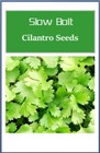 Cilantro Seeds    Non-gmo   Heirloom   Fresh Garden Seeds