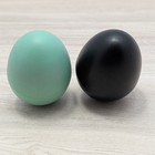 Rhythm Tech Eggz Chicken Shake Percussion Shakers Green Black Pair Vintage