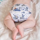 Cloth Diapers Reusable Baby Pocket Style Athletic Jersey Wet Bag 760lbs One