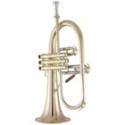Conn Vintage One Flugelhorn In Bb 1fg With Gold Brass Bell