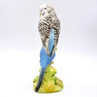 Beswick Parakeet Budgie Budgerigar Bird Figurine 7  Porcelain England Vintage