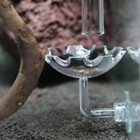 1x Aquarium Fish Tank Shrimp Feeder Feeding Tube Dish Suction Cup Food Bowl Tool