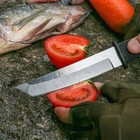 Japan Samurai Tanto Fixed Blade Tactical Knife Hunting Survival Straight Knives