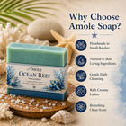 Organic Ocean Reef Soap Bar  Smooth Skin  For Daily Use  Self-care